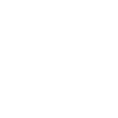 github icon